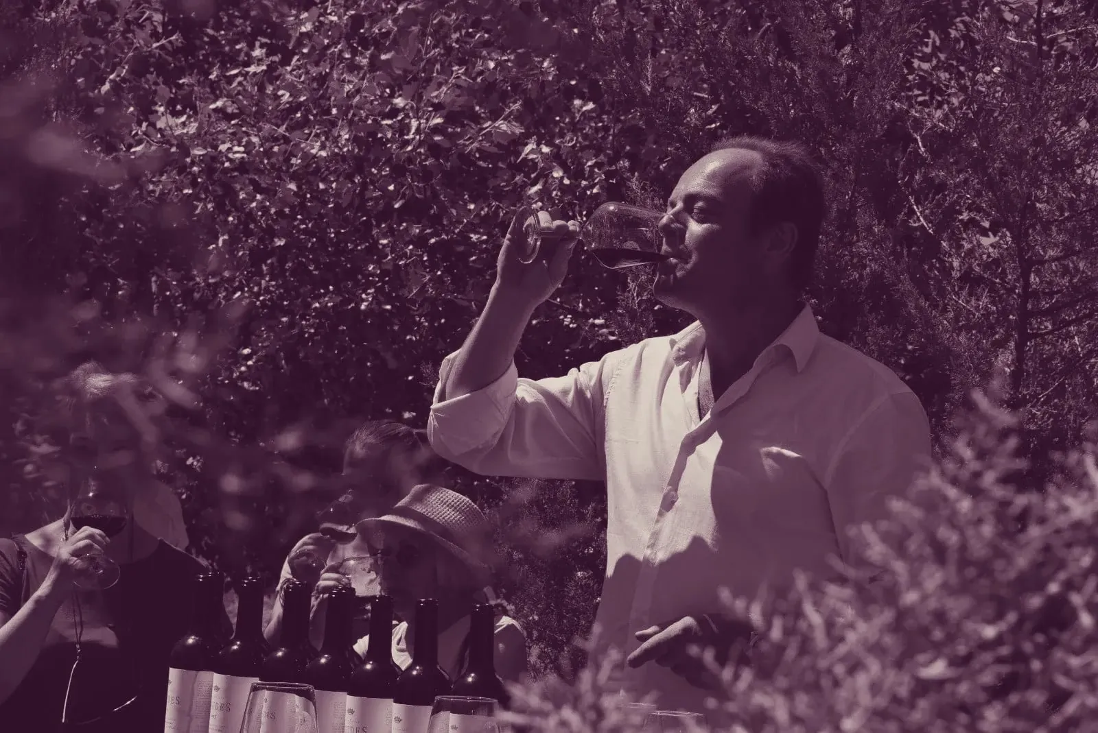 Félix Lezcano catando en el viñedo