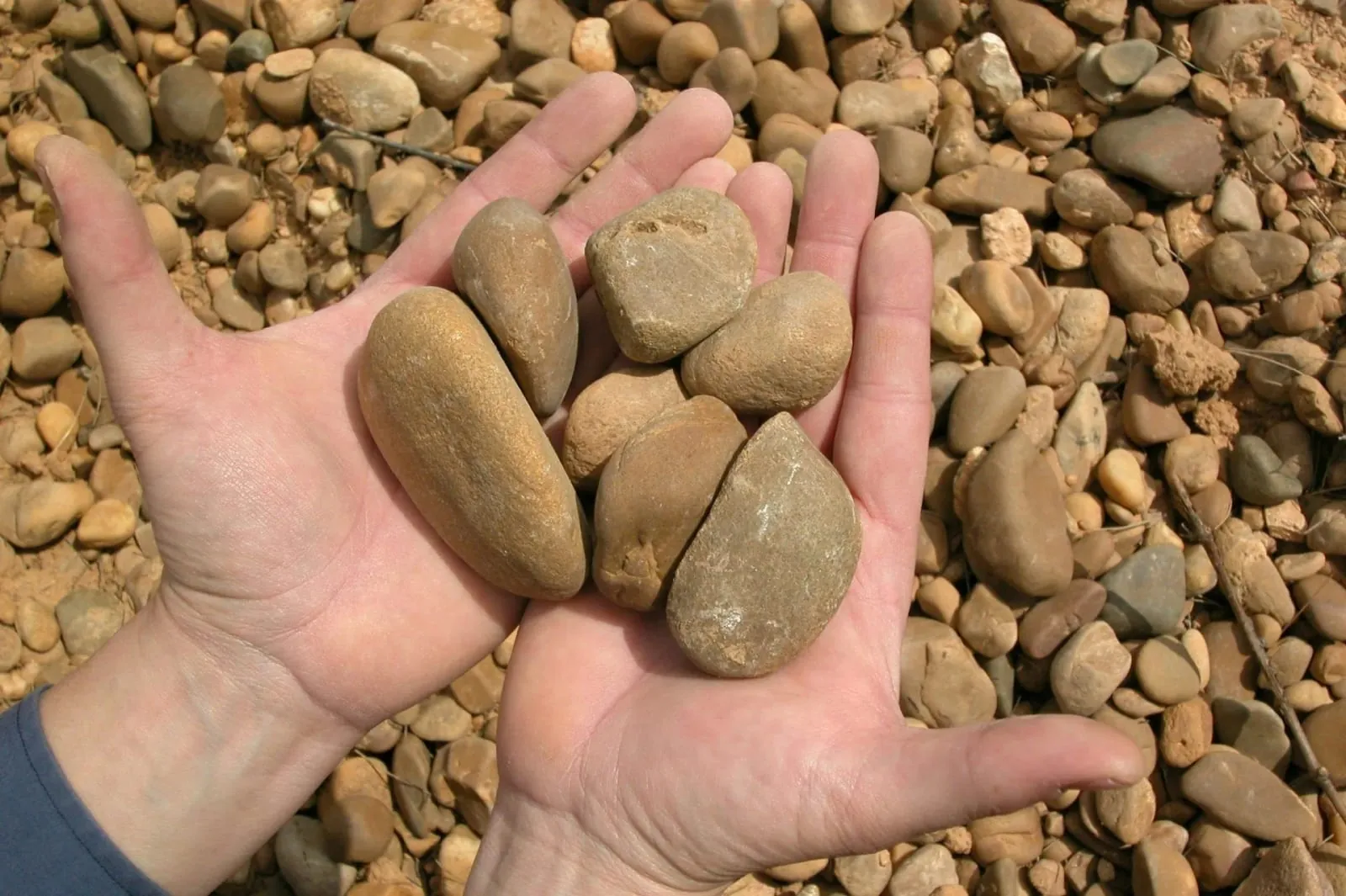 Cantos rodados del viñedo
